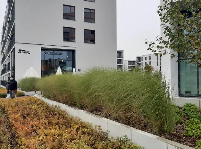 Apartman Royal Wilanow Stylish By Bookinghost *